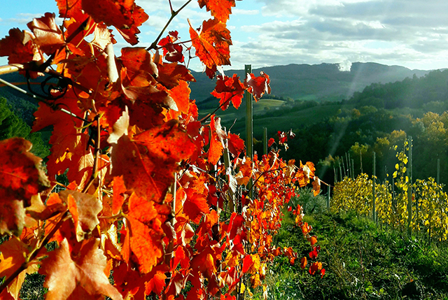 Vakantiehuis te huur in Toscane